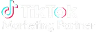 Pre-Production 23 tiktok-marketing-partner